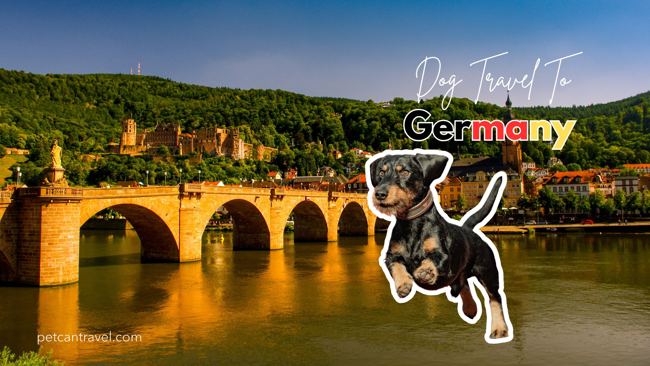 Dog Travel to Germany: Entry Requirements, Pet Checklist & Costs (2025 Guide)