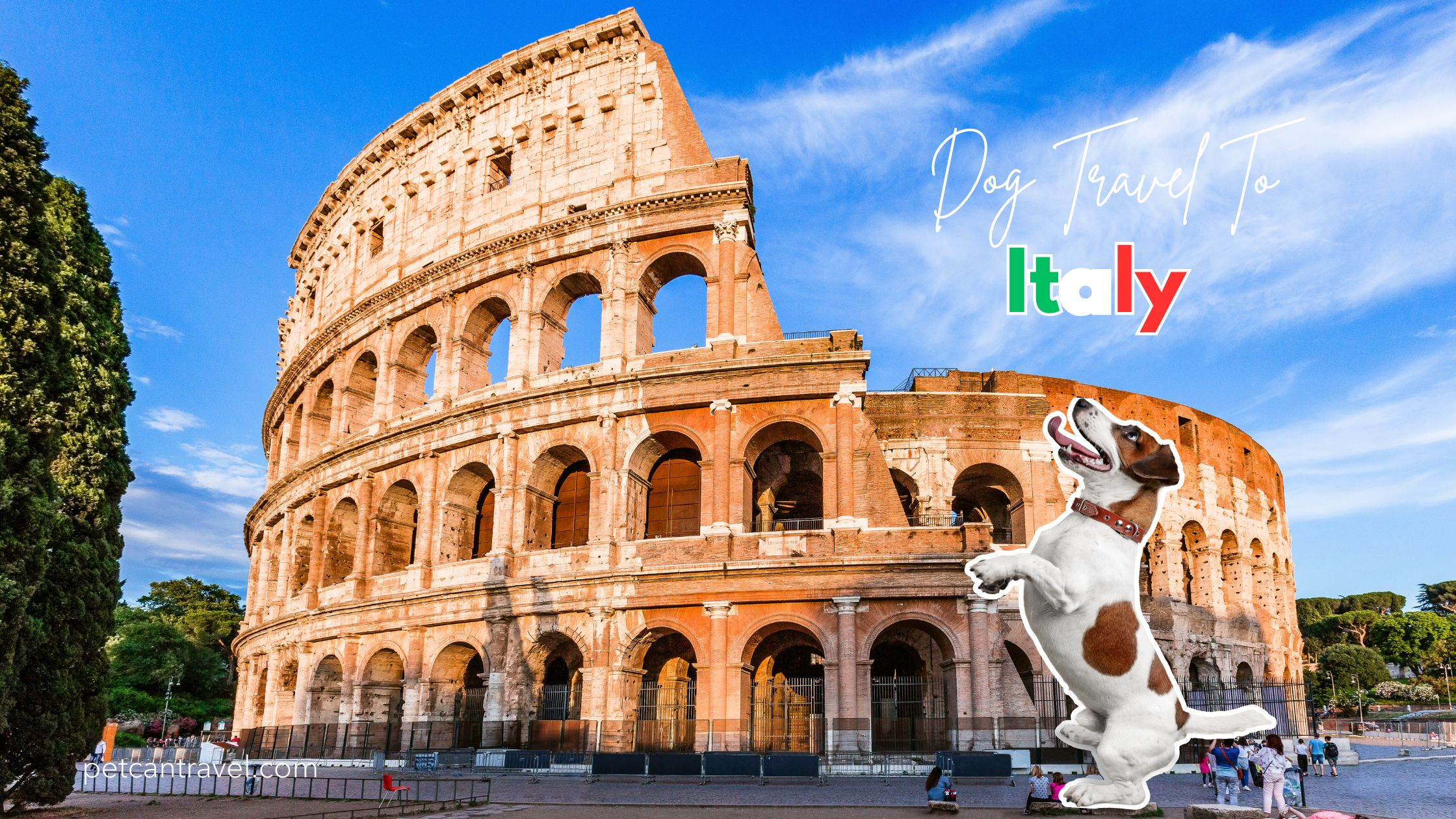 Dog Travel to Italy: Entry Requirements, Checklist & Costs (2025 Guide)