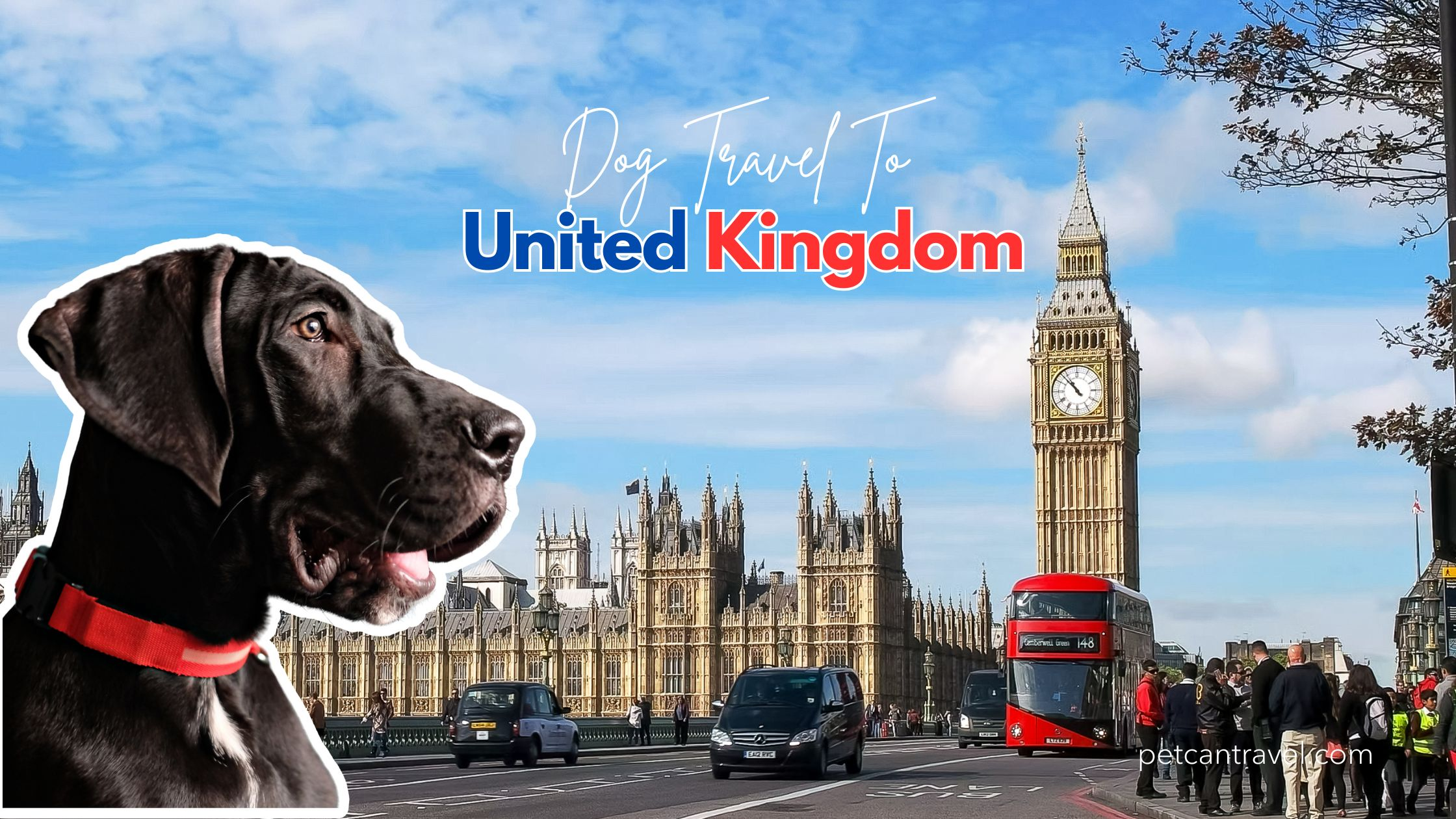 dog travel to United Kingdom